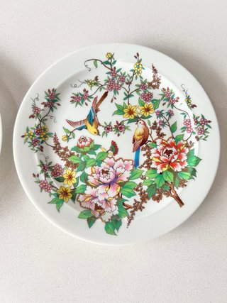 2 Platos Porcelana Bidasoa España Vintage Pájaros