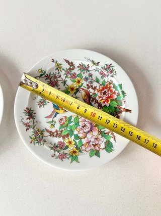 2 Platos Porcelana Bidasoa España Vintage Pájaros