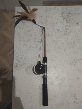 Caña de pescar para gatos con plumas