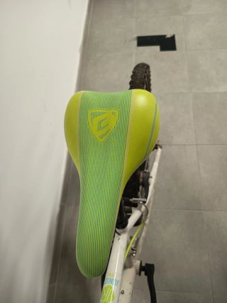 Bicicleta Infantil Charm 20
