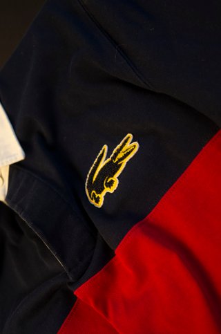 Lacoste Polo brand new