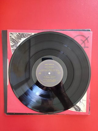 Duran Duran members - Arcadia LP Vinilo