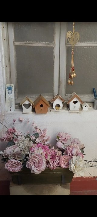 Cinque casette per uccelli decorative