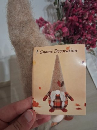 Gnomo Decorazione Autunnale