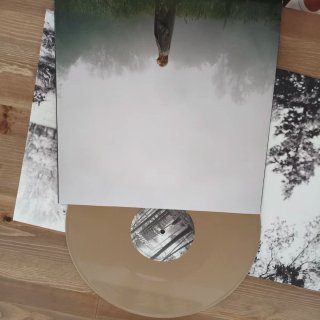 Vinilo Taylor Swift -Folklore- 2 LP