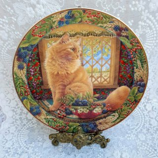 Set 4 piatti, Royal Doulton, Cats in the Window
