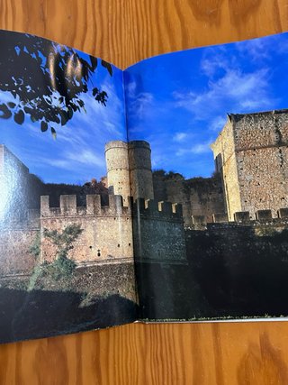 El camino de Santiago libro