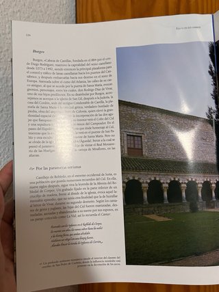 El camino de Santiago libro