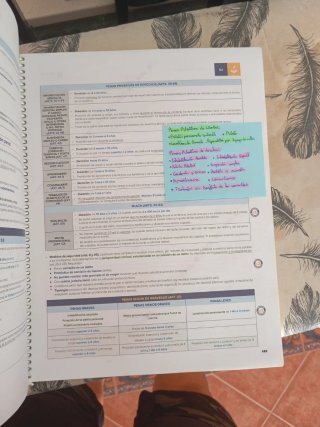 Cuaderno de resúmenes depol Policía Nacional.