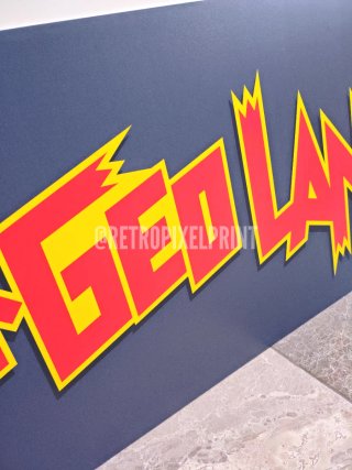 NEOGEOLAND cuadro gigante