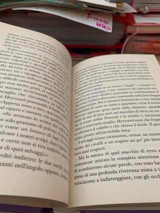 L’ultimo dei Mohicani