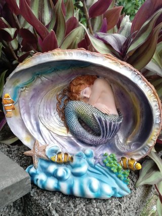 Sirena dormida en conchiglia decorativadi Sheila w
