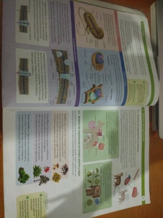 Biología, Geología y Ciencias Ambientales 1 Bac...
