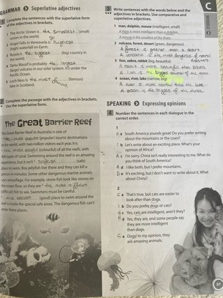 Network 1ºeso. Workbook