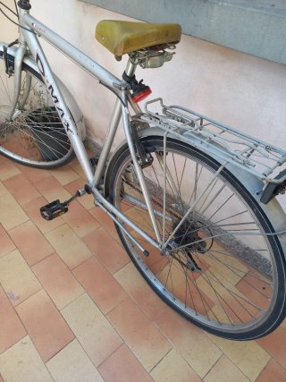 Bicicletta D-MAX prezzo trattabile