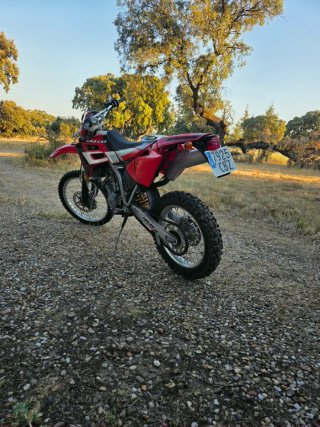 GasGas EC 450 Enducross