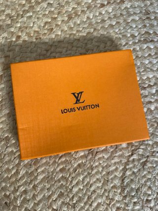 Funda Pasaporte Louis Vuitton Azul