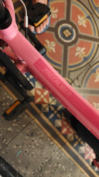 Bicicleta Trek Precaliber Niña Rosa