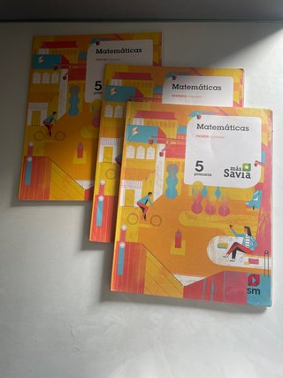 Libros de matemáticas de quinto de primaria