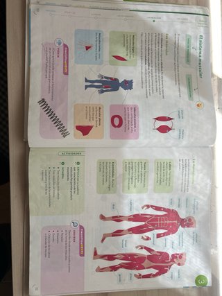 CIENCIAS DE LA NATURALEZA 5 PRIMARIA CONSTRUYEN...
