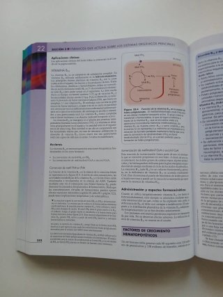 RANG Y DALE, Farmacología + Student Consult, 6a...