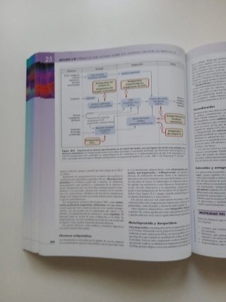 RANG Y DALE, Farmacología + Student Consult, 6a...