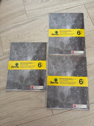 Matemáticas, 6 Primaria Savia