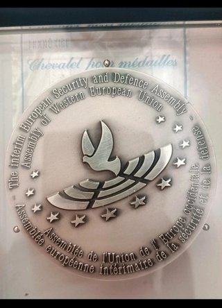 Medaglia/Placca Ufficiale Assemblea Sicurezza Euro