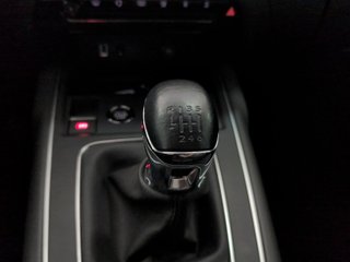 Citroen C5 Aircross PureTech 130 S&S Plus 96 kW (131 CV)
