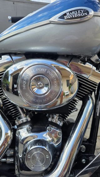Harley-Davidson Springer Softail Classic