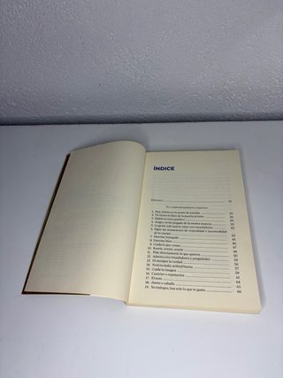 Libro "El Éxito" de Luis Álvarez