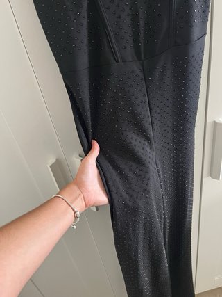 Mono negro con brillos