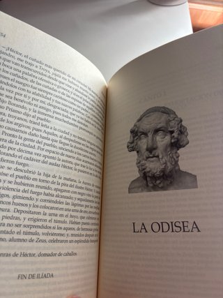 La Odisea y La Ilíada. Obras selectas de Homero