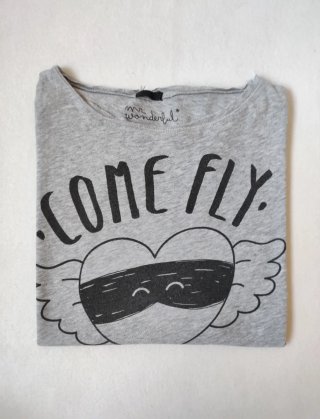Camiseta Mr Wonderful Come fly with me