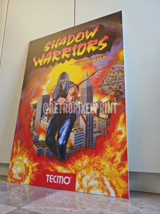 SHADOW WARRIORS cuadro