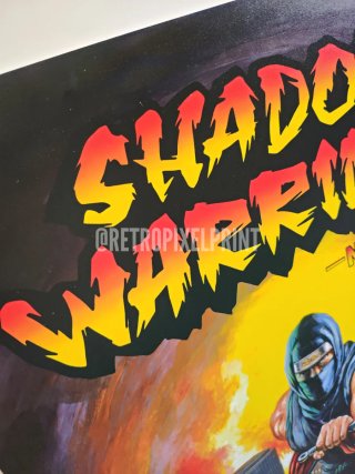 SHADOW WARRIORS cuadro