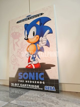 SONIC 1 cuadro