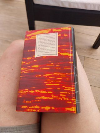 Libro La hoguera de las vanidades