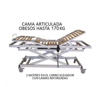 Cama articulada eléctrica con carro elevador