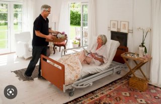 Cama articulada eléctrica con carro elevador