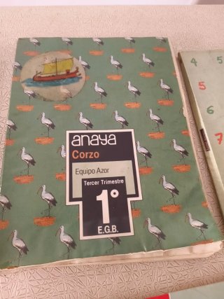 Lote Libros Texto EGB Vintage