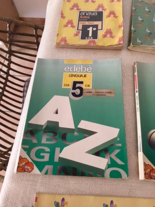 Lote Libros Texto EGB Vintage