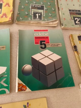 Lote Libros Texto EGB Vintage