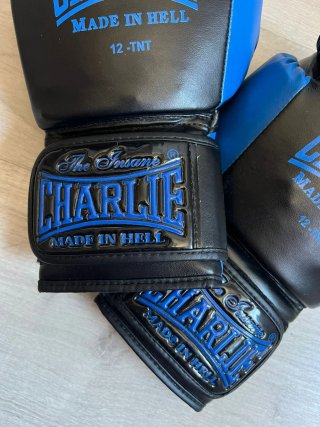 Guantes de Boxeo Charlie 12-TNT