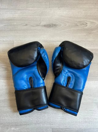 Guantes de Boxeo Charlie 12-TNT