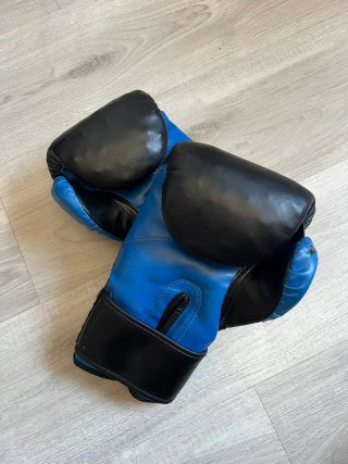 Guantes de Boxeo Charlie 12-TNT