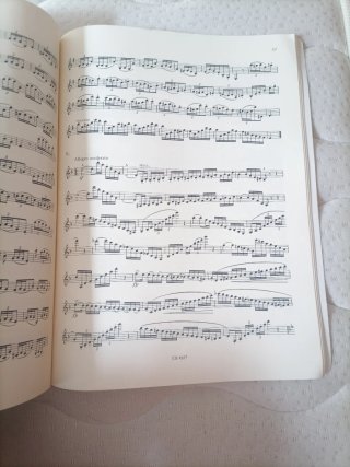 75 Estudios para Clarinete - Ludwig Wiedemann