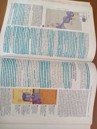 Biologia la chimica della vita e la cellula