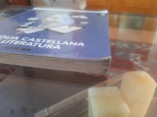 Lengua castellana y literatura 2o ESO
