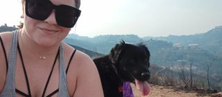 Paseador de perros Visitas a domicilio